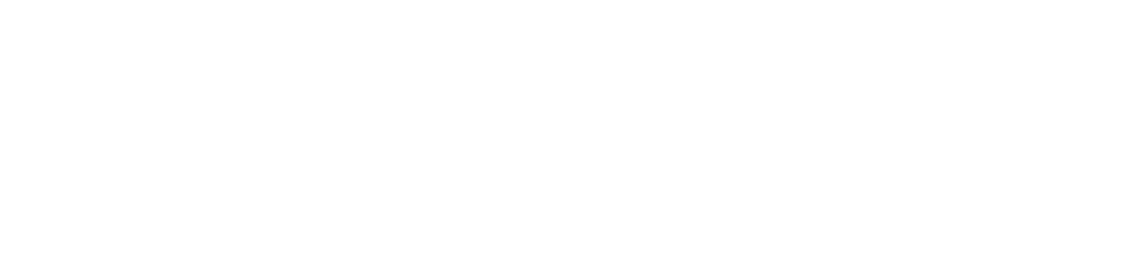 Meta Business Partners — Miembro del programa