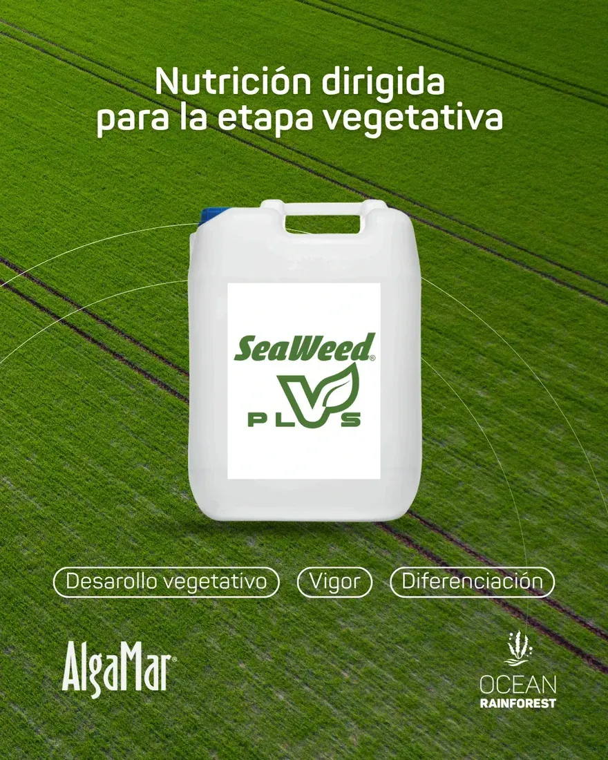 Grupo AlgaMar — fotografía 2