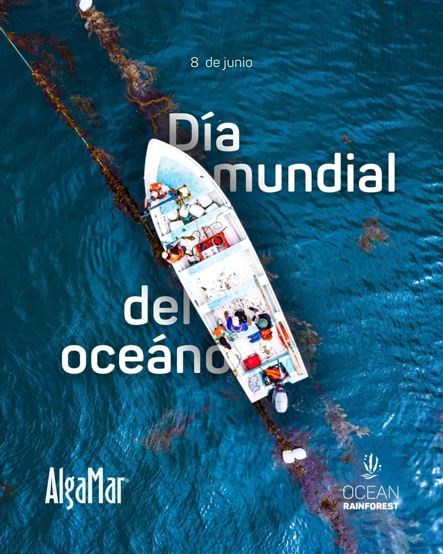Grupo AlgaMar — fotografía 3